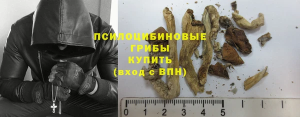 трава Арсеньев