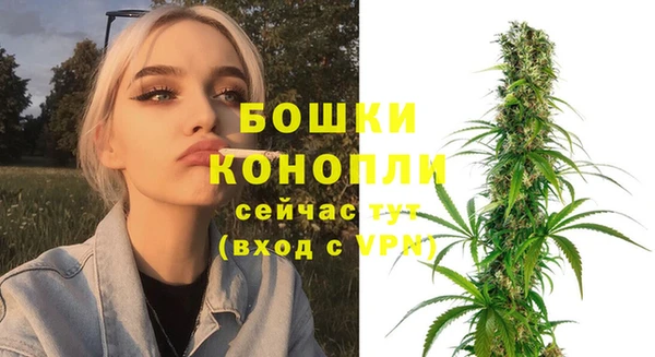 трава Арсеньев