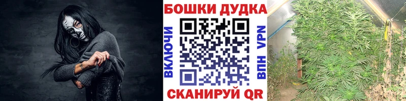 гидра вход  Рассказово  Конопля семена  сайты даркнета телеграм  закладка 